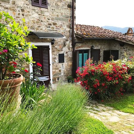 Montebeni Apartments Greve in Chianti Dış mekan fotoğraf